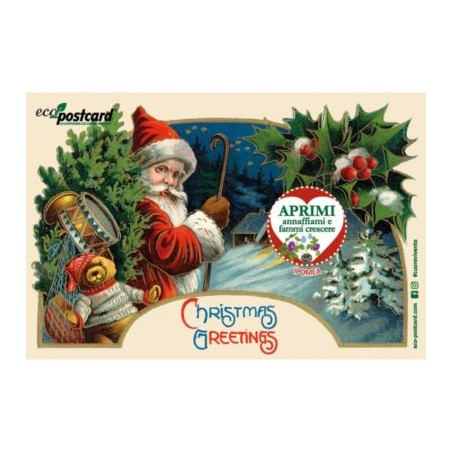 Eco-Postcard Christmas Greetings - Ipomea